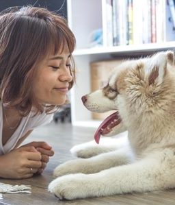 El perro también es el mejor amigo del psicoterapeuta
